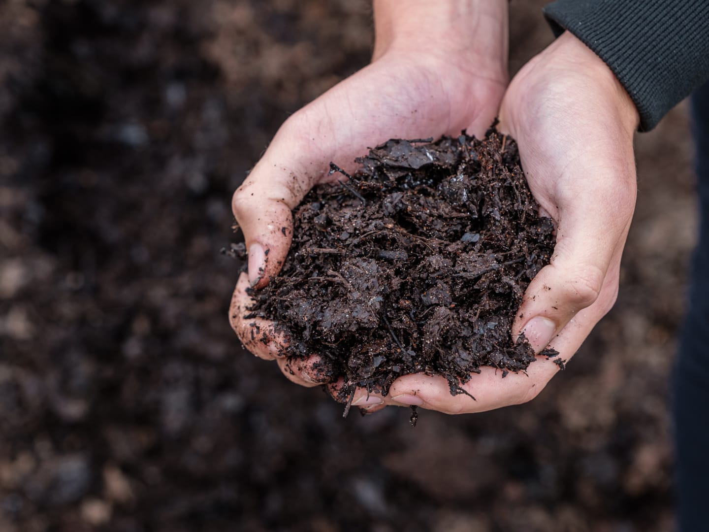 Gemeente Heerde houdt haar herfstblad lokaal