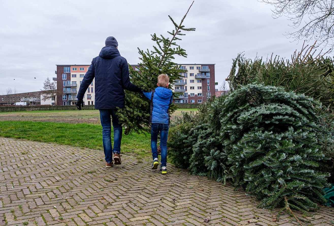 Op 5 en 12 januari Kerstbomenactie in Zwolle
